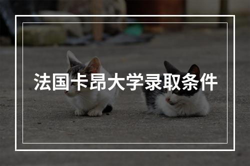 法国卡昂大学录取条件