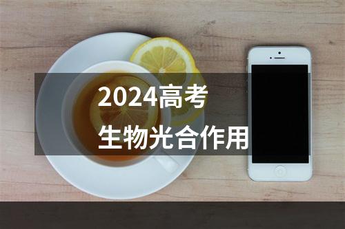 2024高考生物光合作用