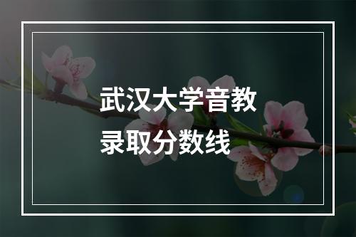 武汉大学音教录取分数线