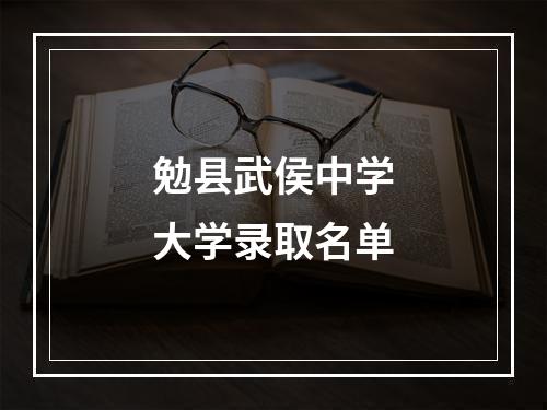 勉县武侯中学大学录取名单