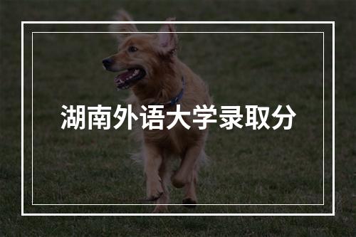 湖南外语大学录取分