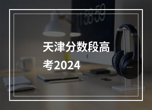 天津分数段高考2024