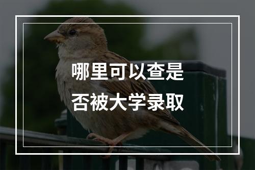 哪里可以查是否被大学录取