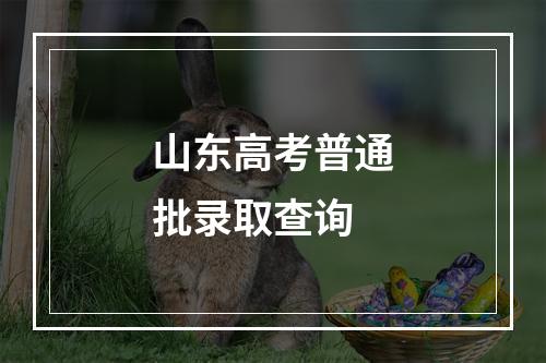 山东高考普通批录取查询