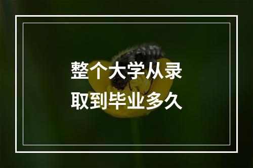 整个大学从录取到毕业多久