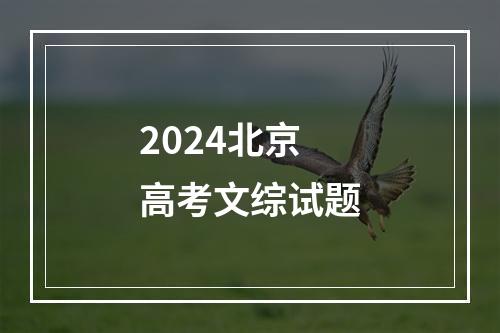 2024北京高考文综试题