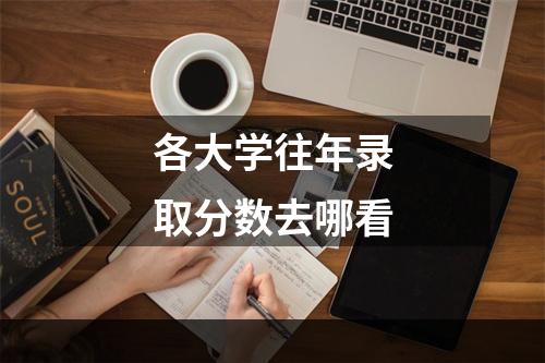 各大学往年录取分数去哪看