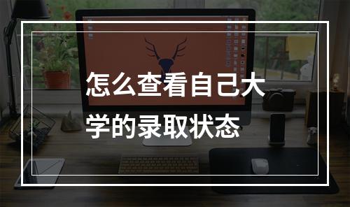 怎么查看自己大学的录取状态