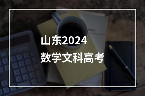 山东2024数学文科高考