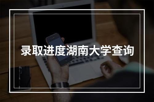 录取进度湖南大学查询