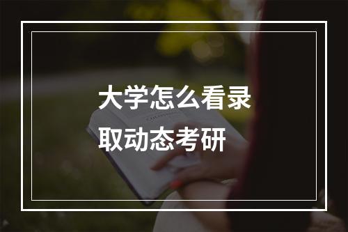 大学怎么看录取动态考研