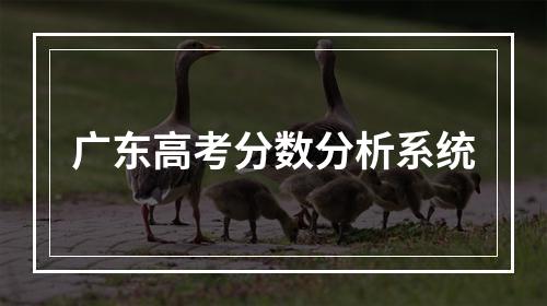 广东高考分数分析系统