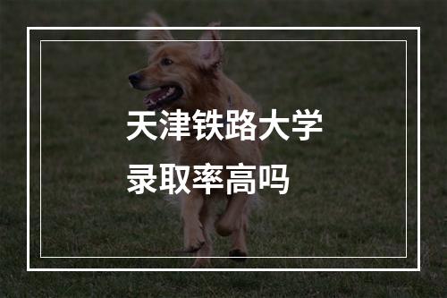 天津铁路大学录取率高吗