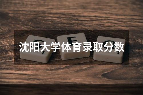 沈阳大学体育录取分数