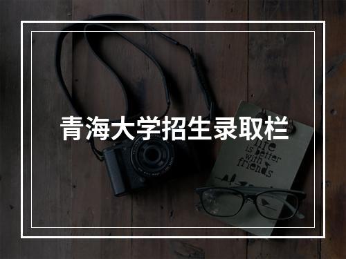 青海大学招生录取栏