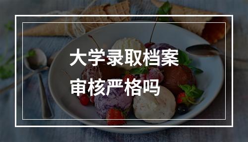 大学录取档案审核严格吗