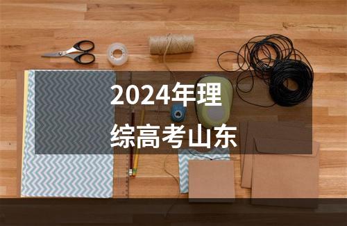 2024年理综高考山东