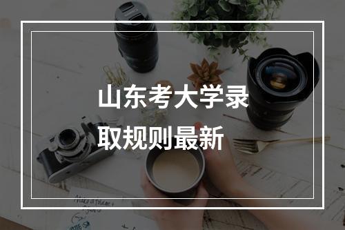 山东考大学录取规则最新