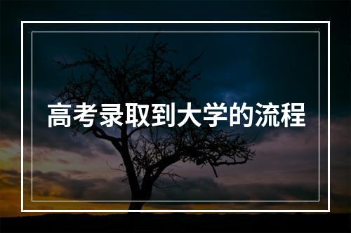 高考录取到大学的流程