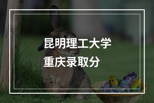 昆明理工大学重庆录取分