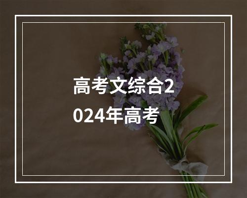 高考文综合2024年高考