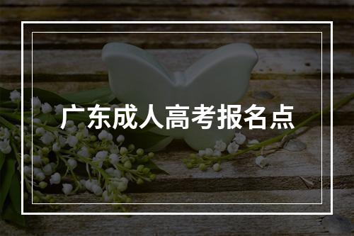 广东成人高考报名点