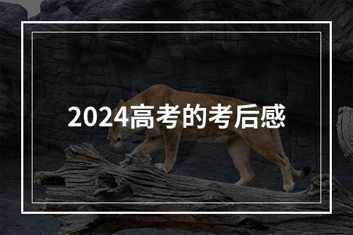 2024高考的考后感