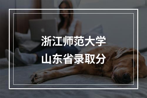 浙江师范大学山东省录取分