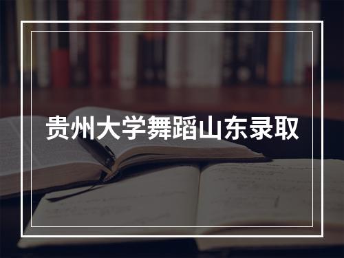 贵州大学舞蹈山东录取