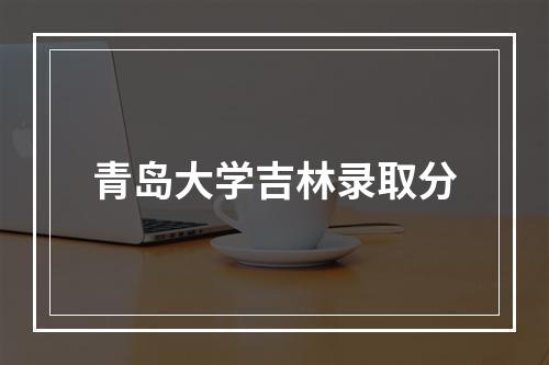 青岛大学吉林录取分