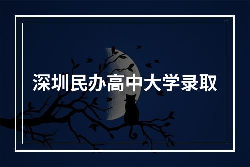 深圳民办高中大学录取