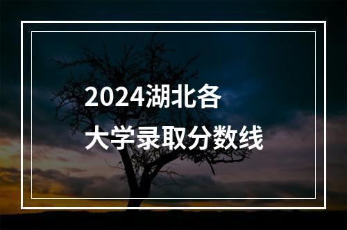 2024湖北各大学录取分数线