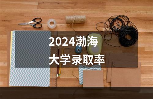 2024渤海大学录取率