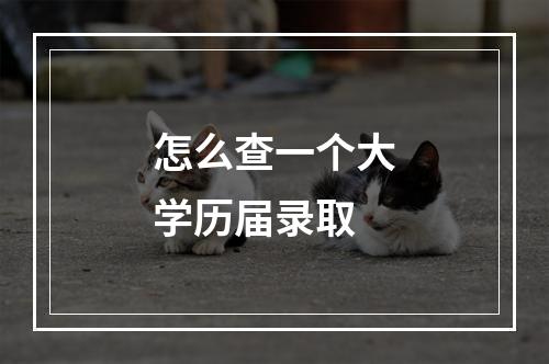 怎么查一个大学历届录取