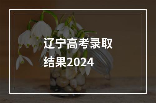 辽宁高考录取结果2024