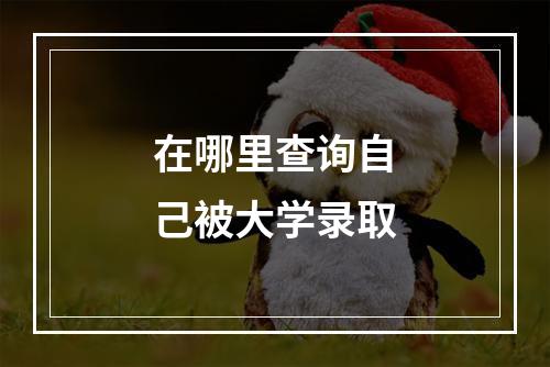 在哪里查询自己被大学录取