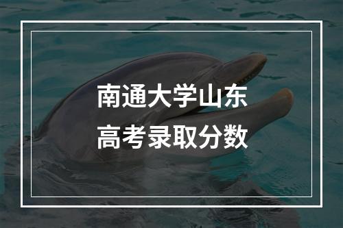 南通大学山东高考录取分数