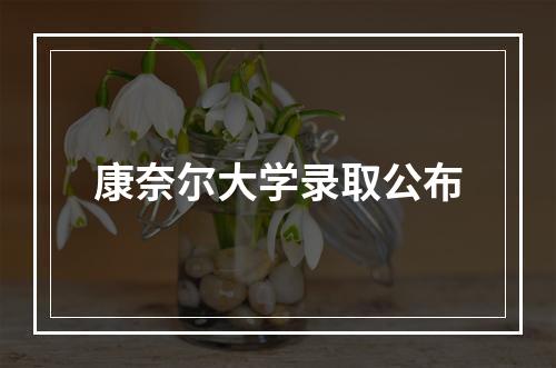 康奈尔大学录取公布