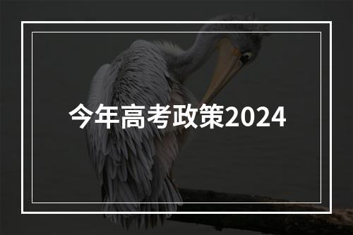 今年高考政策2024