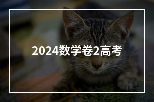 2024数学卷2高考