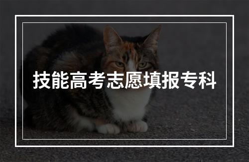 技能高考志愿填报专科