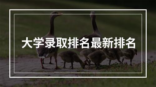 大学录取排名最新排名