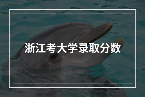 浙江考大学录取分数