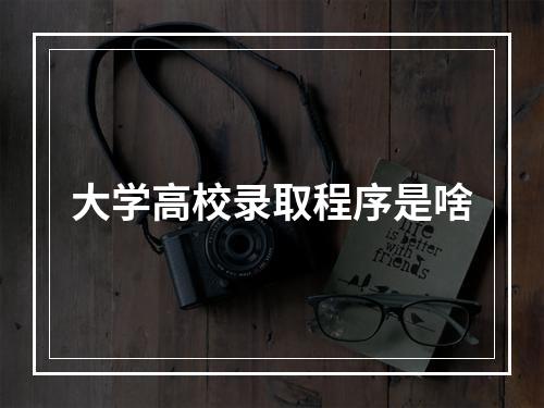 大学高校录取程序是啥