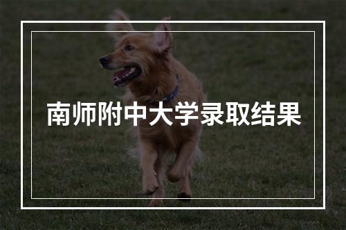 南师附中大学录取结果