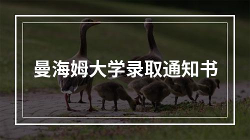 曼海姆大学录取通知书