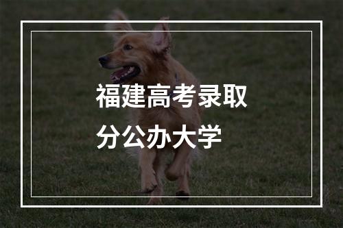 福建高考录取分公办大学