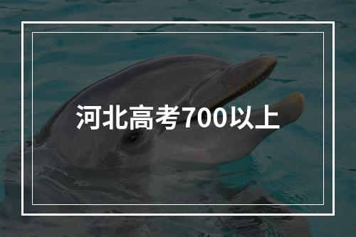 河北高考700以上