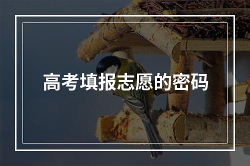 高考填报志愿的密码