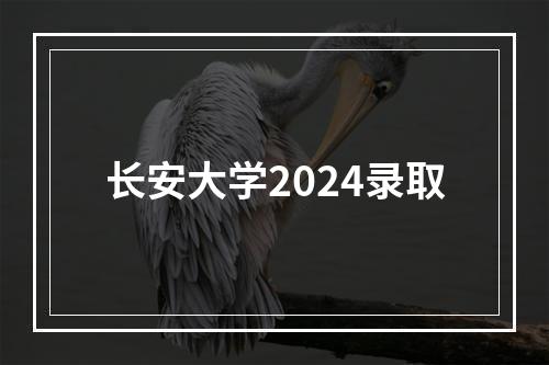 长安大学2024录取